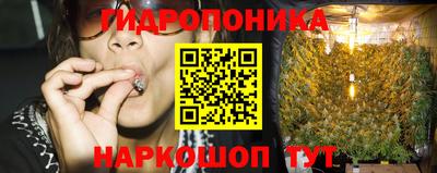 гидропоника Севастополь