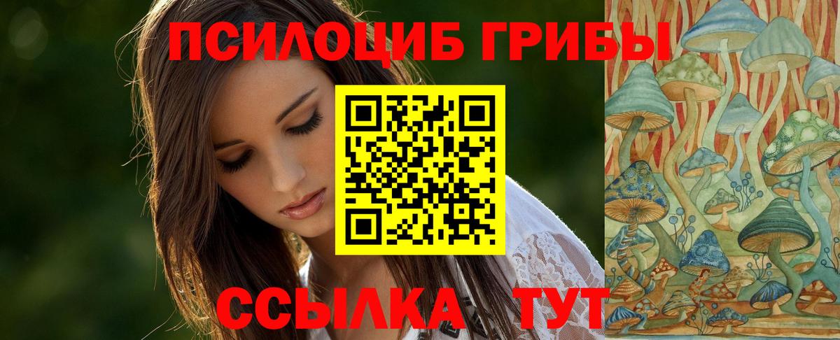 Галлюциногенные грибы Cubensis  Вход с VPN  Псилоцибиновые грибы MAGIC MUSHROOMS  Тавда 